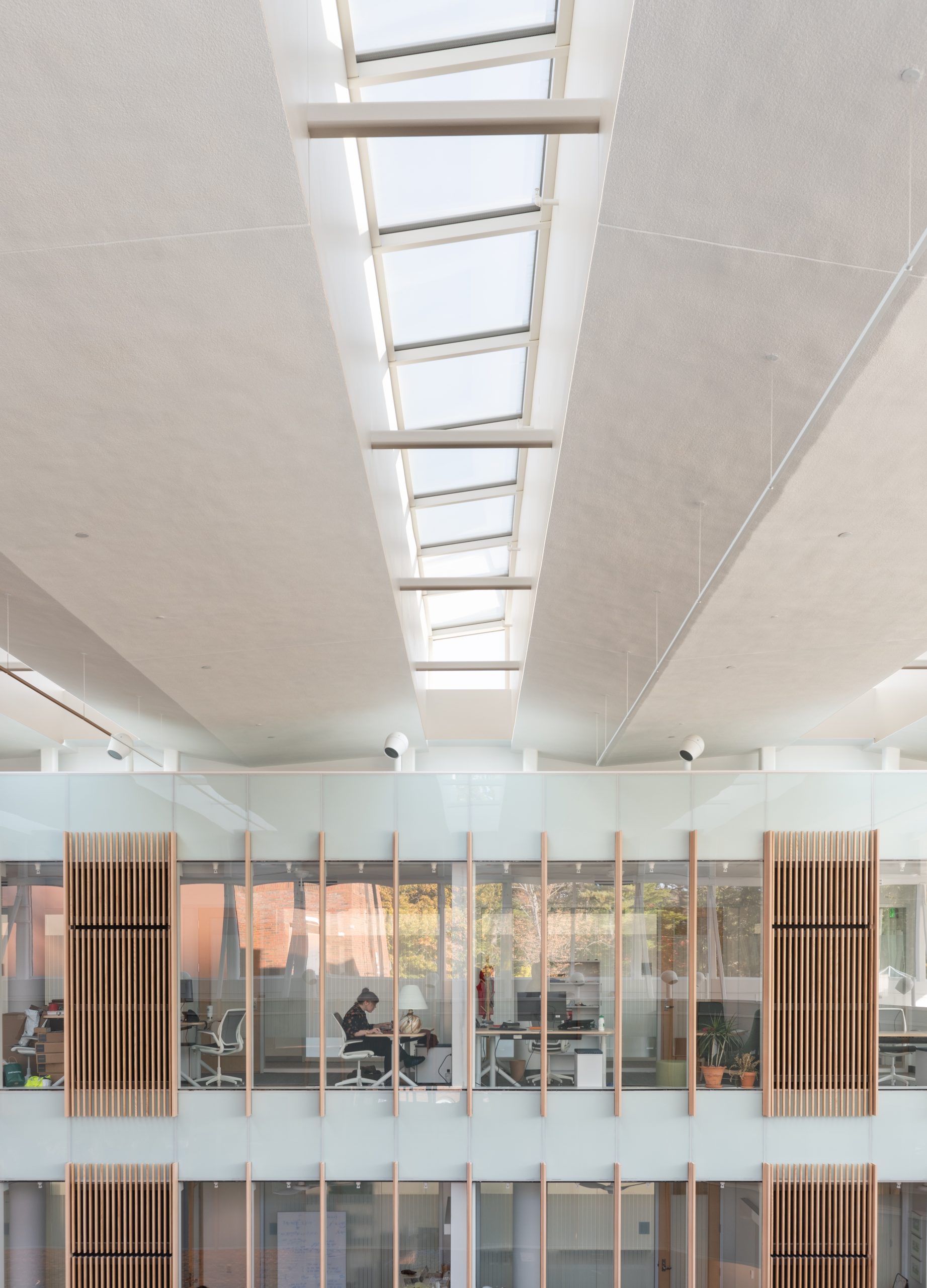 Irving Institute Ceiling